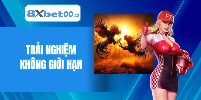 Trải nghiệm không giới hạn cùng đá gà 8XBET