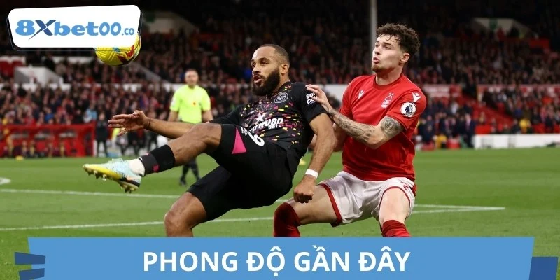 Thống kê phong độ gần đây của Brentford vs Fulham