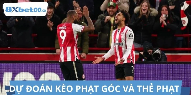 Thống kê các chỉ số thẻ phạt trận Brentford vs Fulham